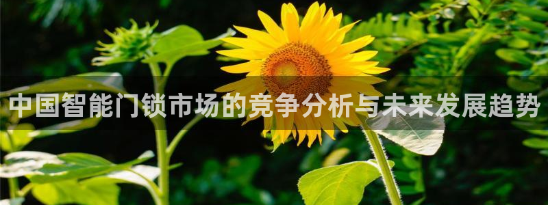 富联娱乐下载官网网址：中国智能门锁市场的竞争分析与未来发展趋