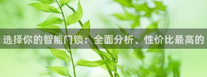 富联娱乐注册那判官333OO：选择你的智能门锁：全面分析、性