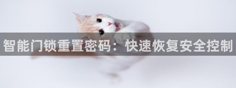 富联娱乐在线注册链接怎么弄：智能门锁重置密码：快速恢复安全控