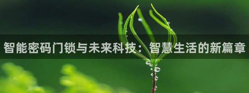 富联娱乐首页网址是多少：智能密码门锁与未来科技：智慧生活的新