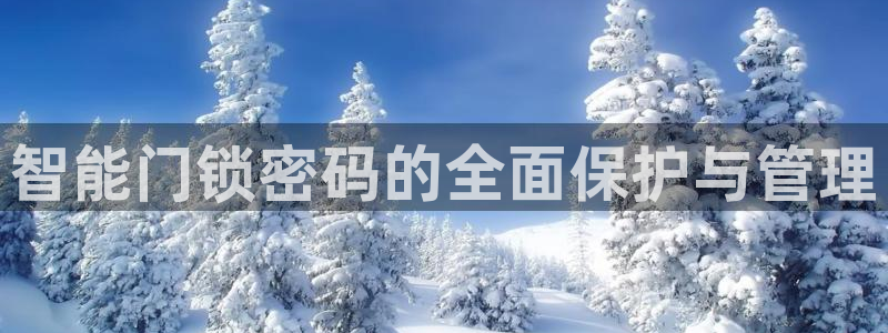 富联娱乐主管施判官333OO：智能门锁密码的全面保护与管理