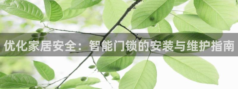 富联娱乐地址查询官网：优化家居安全：智能门锁的安装与维护指南