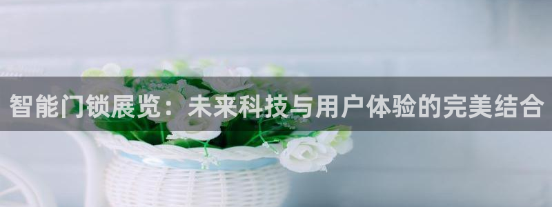 富联娱乐元歌：智能门锁展览：未来科技与用户体验的完美结合