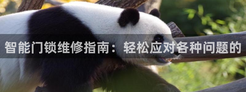 富联娱乐找u997.cn凤凰：智能门锁维修指南：轻松应对各种