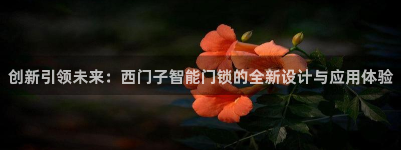 富联娱乐招商德判官333OO：创新引领未来：西门子智能门锁的