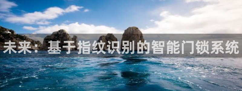 富联娱乐市究7276O：未来：基于指纹识别的智能门锁系统