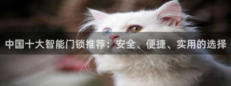 富联娱乐土67五壹叁八：中国十大智能门锁推荐：安全、便捷、实