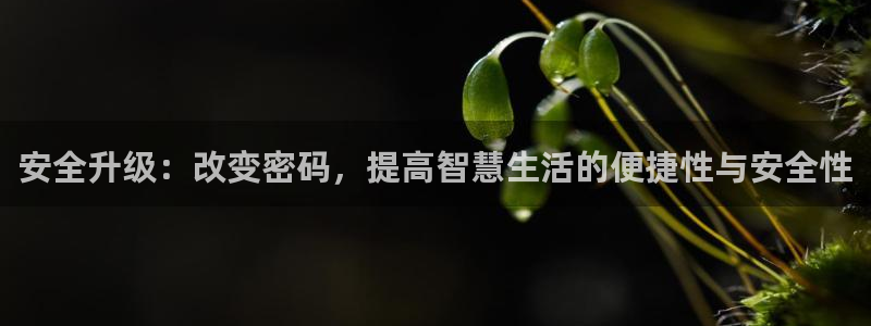 富联娱乐21192：安全升级：改变密码，提高智慧生活的便捷性