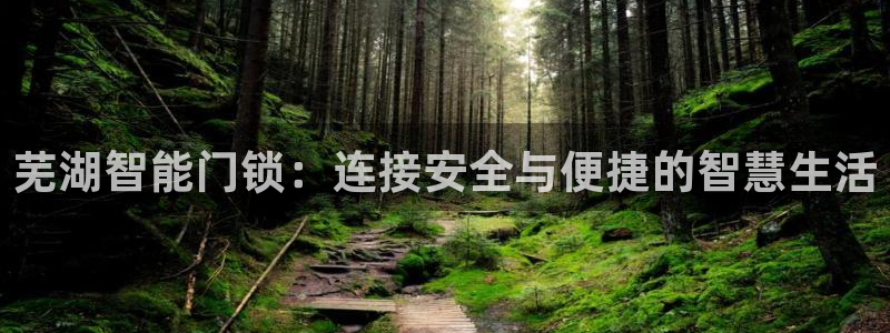 富联娱乐平台怎么样知乎：芜湖智能门锁：连接安全与便捷的智慧生