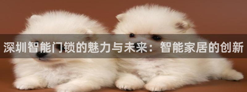 富联娱乐官网注册入口在哪：深圳智能门锁的魅力与未来：智能家居