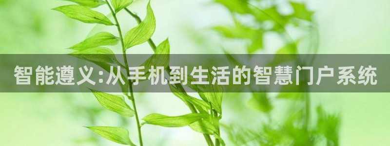 富联娱乐平台登录不上去：智能遵义:从手机到生活的智慧门户系统