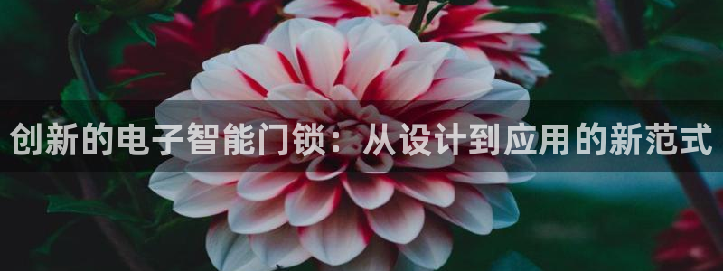 富联娱乐注册登录不上去：创新的电子智能门锁：从设计到应用的新