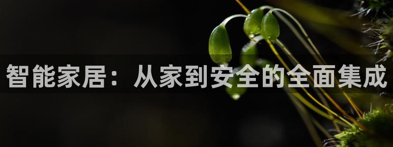 富联娱乐客户端登录：智能家居：从家到安全的全面集成