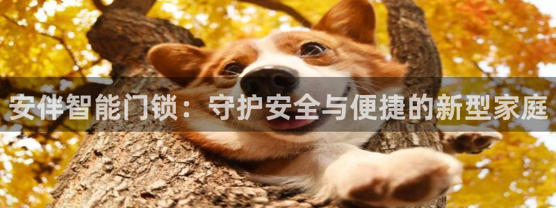 富联娱乐女团排名多少位：安伴智能门锁：守护安全与便捷的新型家