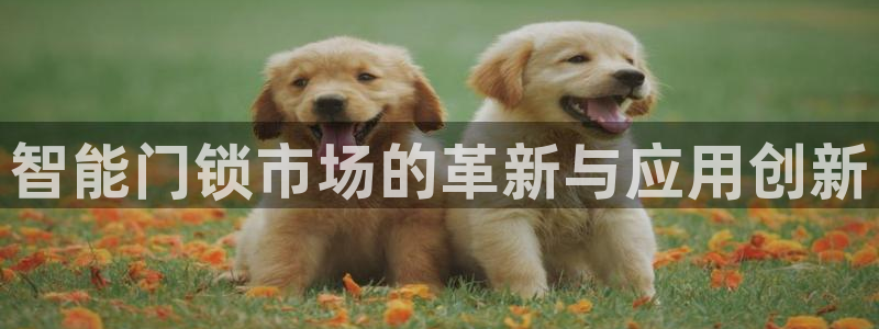 富联娱乐资讯：智能门锁市场的革新与应用创新