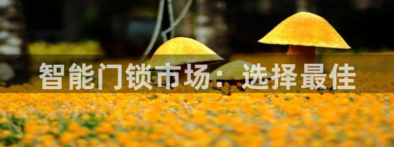 富联娱乐向5o69I7：智能门锁市场：选择最佳