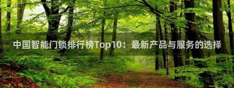 富联娱乐平台几67OO6盘古：中国智能门锁排行榜Top10：