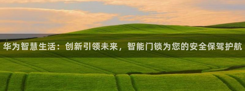 富联娱乐官网注册入口网址：华为智慧生活：创新引领未来，智能门