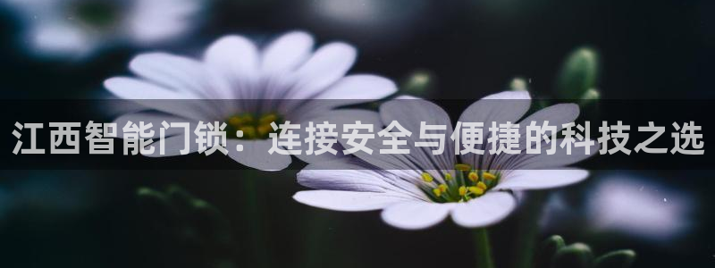 富联娱乐主管地判官333OO：江西智能门锁：连接安全与便捷的