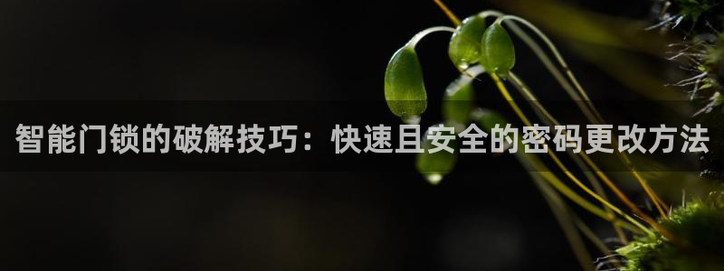 富联娱乐登录地址查询：智能门锁的破解技巧：快速且安全的密码更