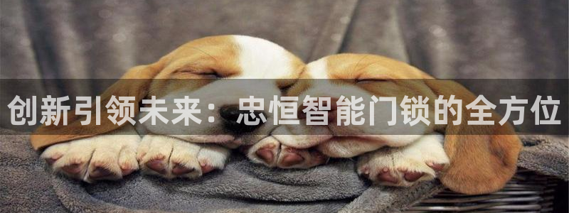 富联娱乐官网注册入口：创新引领未来：忠恒智能门锁的全方位