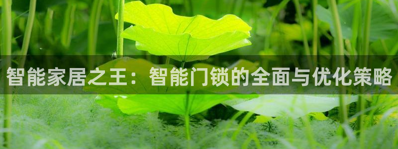 富联2娱乐贴吧官网