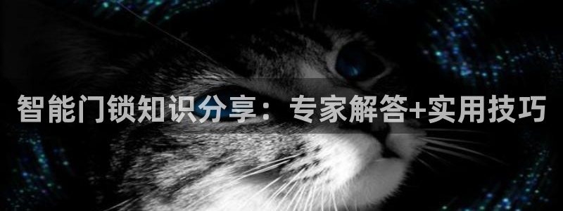 富联娱乐招商命判官333OO：智能门锁知识分享：专家解答+实