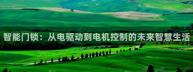 富联娱乐地址查询系统：智能门锁：从电驱动到电机控制的未来智慧