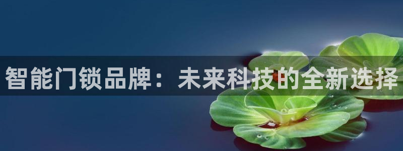富联娱乐贴吧网站首页：智能门锁品牌：未来科技的全新选择