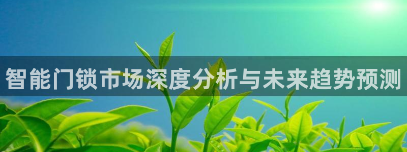 富联娱乐测速app：智能门锁市场深度分析与未来趋势预测