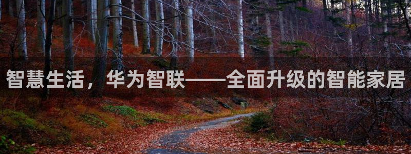 富联娱乐口六七五一38：智慧生活，华为智联——全面升级的智能