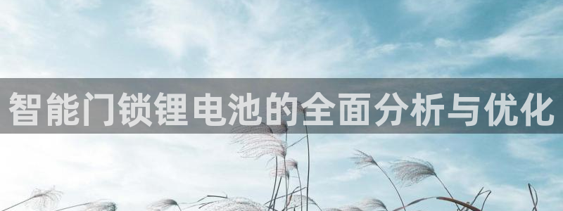 富联娱乐67零零六：智能门锁锂电池的全面分析与优化