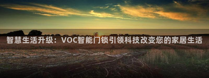 富联娱乐首页在哪看直播：智慧生活升级：VOC智能门锁引领科技