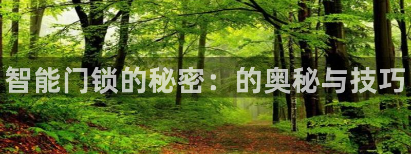 富联娱乐下载官网app：智能门锁的秘密：的奥秘与技巧