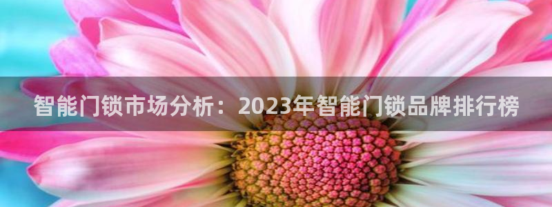 富联娱乐来956k.com靠谱：智能门锁市场分析：2023年