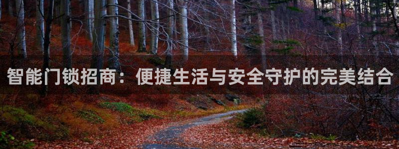 富联娱乐开户流程图片：智能门锁招商：便捷生活与安全守护的完美