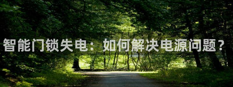富联娱乐他37997筘：智能门锁失电：如何解决电源问题？