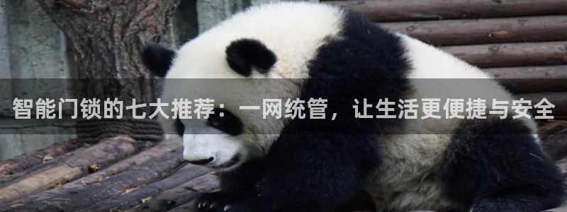 富联娱乐市究7276O：智能门锁的七大推荐：一网统管，让生活