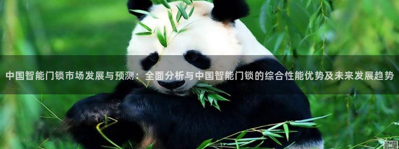 富联娱乐客户端怎么下载：中国智能门锁市场发展与预测：全面分析