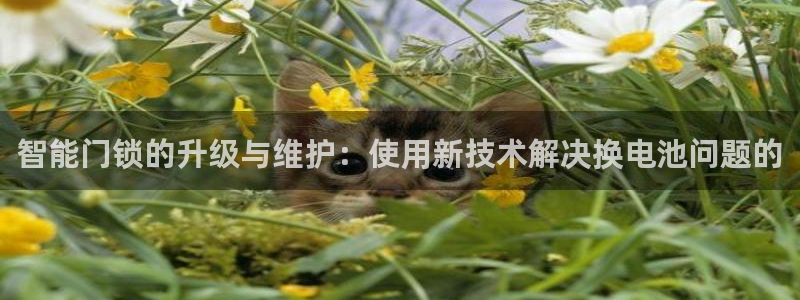 富联娱乐官网入口：智能门锁的升级与维护：使用新技术解决换电池