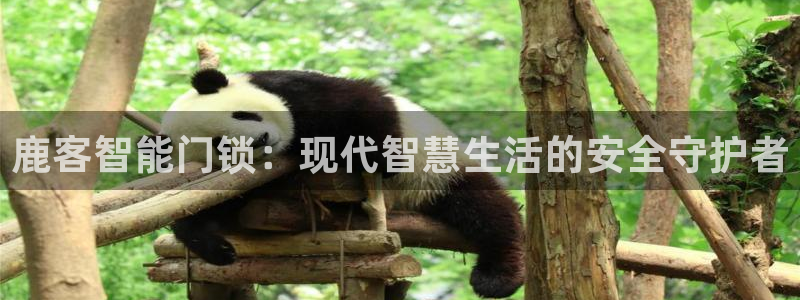 富联娱乐下载免费版：鹿客智能门锁：现代智慧生活的安全守护者