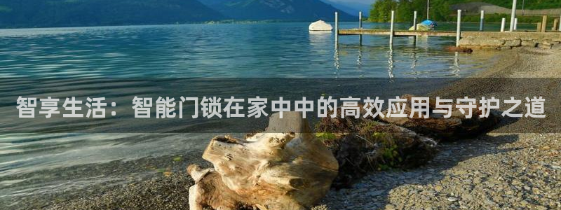 富联娱乐平台注册地址：智享生活：智能门锁在家中中的高效应用与