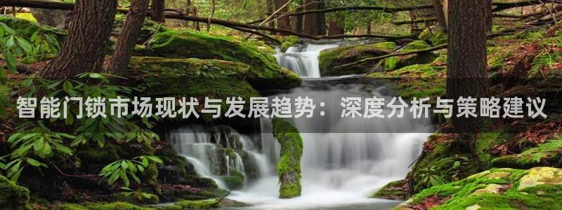富联娱乐结7O935：智能门锁市场现状与发展趋势：深度分析与