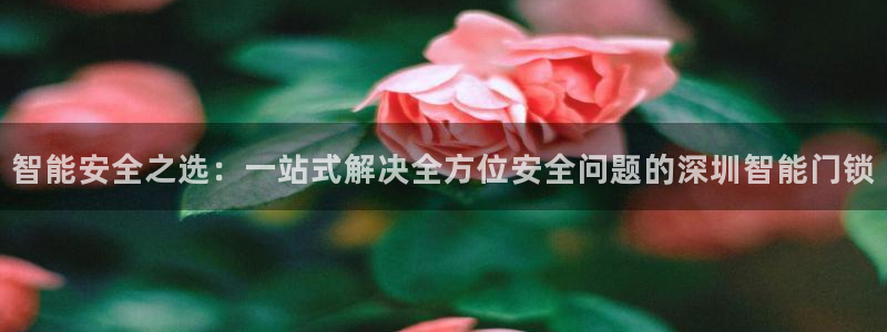 富联娱乐官网注册入口在哪：智能安全之选：一站式解决全方位安全