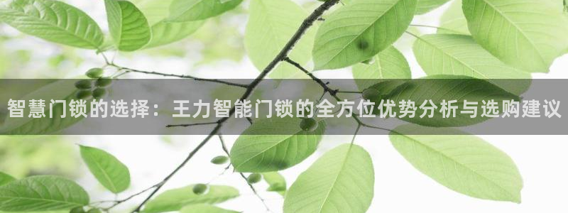 富联娱乐平台登录：智慧门锁的选择：王力智能门锁的全方位优势分