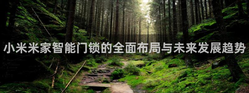 富联娱乐登录测速软件：小米米家智能门锁的全面布局与未来发展趋
