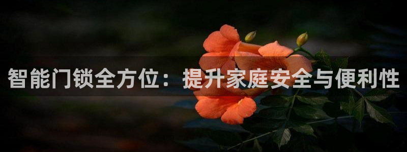 富联娱乐首页官网登录：智能门锁全方位：提升家庭安全与便利性