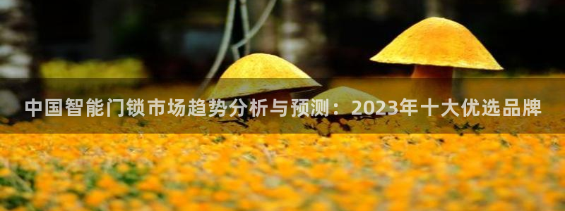富联娱乐主管么67O77逐风：中国智能门锁市场趋势分析与预测