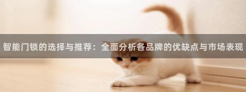 富联新村二区有啥娱乐：智能门锁的选择与推荐：全面分析各品牌的