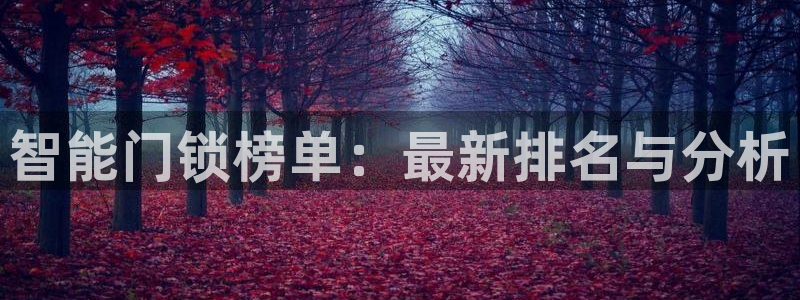 富联娱乐平台是什么：智能门锁榜单：最新排名与分析